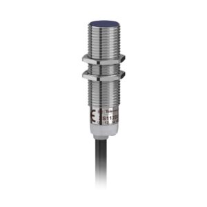 Telemecanique  XS112BLPAL2 | Inductive sensor XS1 M12, L44mm, brass, Sn2mm, 12..24VDC, cable 2m